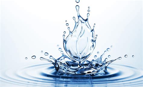 fakten über wasser.
